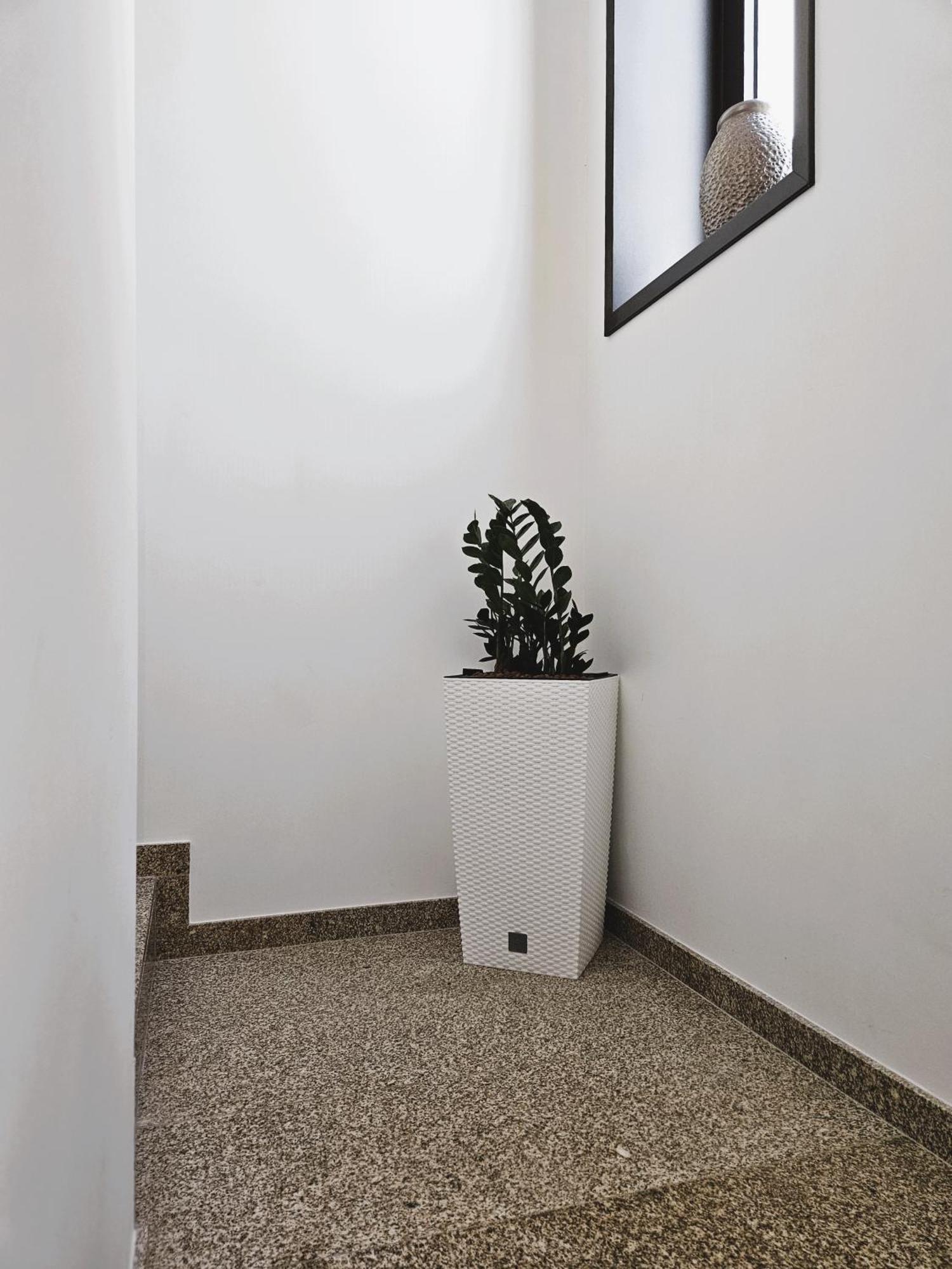 Casa Do Moinho Leilighet Cabeceiras de Basto Eksteriør bilde